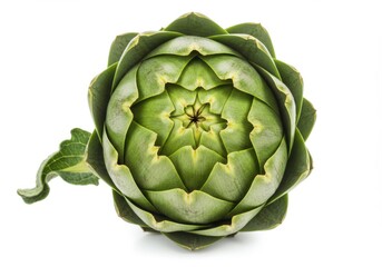 Fototapeta premium Single fresh artichoke close up studio shot isolated on white background