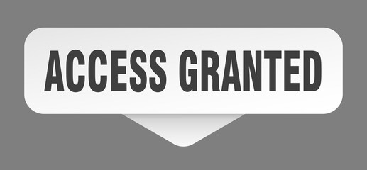access granted sticker. access granted sign isolated on gray background