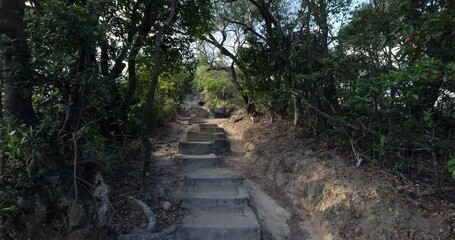 First-person view, walking uphill on slightly winding concrete steps through bushes and small trees along hillside, beginning nature hike on Hong Kong MacLehose Trail Section 5 toward Lion Head Rock.