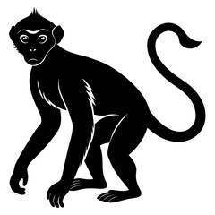 Black Monkey Silhouette