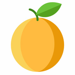 Minimal Orange Fruit Vector