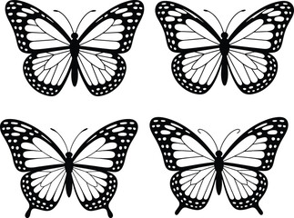Obraz premium Butterfly wings line art vector illustration