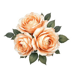Naklejka premium Three peach roses elegant floral bouquet