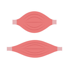 Muscle Icon Vector Design.