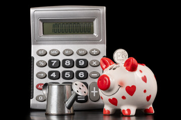 Conceptual story about savings in the Russian Federation with a piggy bank and a coin with the...