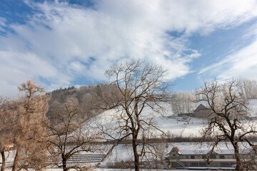 Winter landscape with frosted trees, snow-covered ground, and distant buildings, in the natural surroundings of St. Gallen