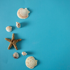 Sea decoration with shells and stars