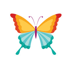 Vibrant colorful butterfly illustration design