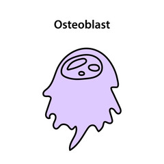 Osteoblast