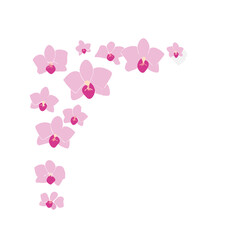 Pink orchid flowers scattered corner design element