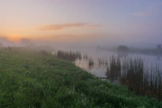 misty morning sunrise over swamp