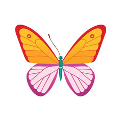 Vibrant colorful butterfly illustration design