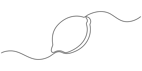 Lemon fruit continuous one line drawing minimalism design, Lemon yellow continuous one line drawing set isolated on a white background. Horizontal banner. Outline lemon citrus collections. Editable.
