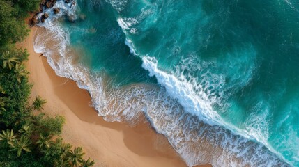 Dramatic view from above showcases a pristine tropical beach with soft sand, gentle waves rolling in, and dense palm trees lining the shore under bright sunlight