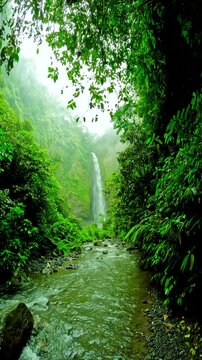 Lush green forest scene with a cascading waterfall and flowing river in the foreground. Mist hangs around the trees and falls. Kabut Pelangi Waterfall, Indonesia.