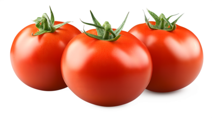 Three vibrant red tomatoes with green stems freshly harvested against a isolated on white transparent background PNG cutout