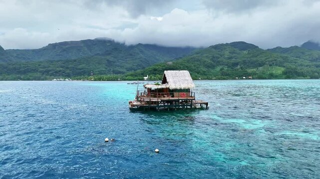 Drone Tahiti. Aerial view of Raiatea island lagoon, pearl farm bungalow hut in clear ocean water. Black pearls, luxury honeymoon vacation, tourism destination in French Polynesia. 