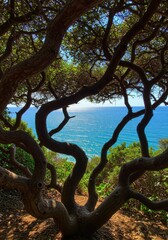 A picturesque scene of a tree's branches framing the sparkling ocean under a clear blue sky.
