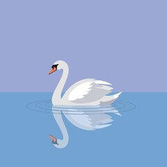 White swan swimming on calm blue water with reflection vector illustration 