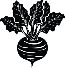 Kohlrabi with Leaves Silhouette | Natural Black Art for Vegan Illustration Vector
