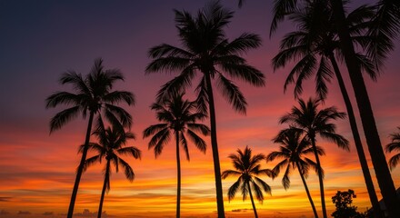 A breathtaking sunset paints the sky, framed by the silhouette of tropical palm trees.