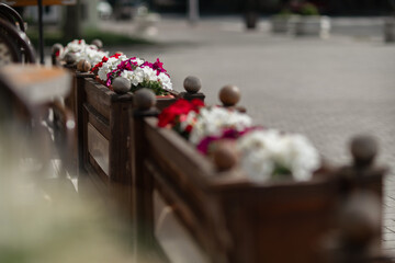 Flowers Planter Outdoor: Petunias grow in box on urban street for decoration, daytime.