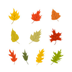 colorful multicolored set of autumn leaves, on white background. hand drawn