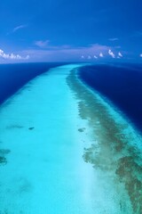Aerial view of a coral reef: A breathtaking aerial view captures a vibrant coral reef stretching across the turquoise ocean, a vivid display of nature's beauty.