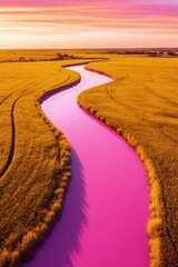 Pink River in Yellow Field: A mesmerizing aerial view showcasing a sinuous, pink river winding through vibrant yellow fields, offering a breathtaking visual symphony of color and texture.