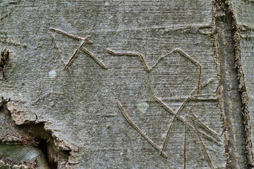 Tree trunk featuring a heart and arrow carved into its bark. The etching evokes themes of love, nostalgia, and lasting memories in a rustic natural setting, ideal for symbolic and romantic concepts
