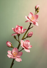 Pink Flowers and Buds on Branch Against Muted Background