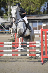 Equestrian Rider and Horse Clearing a Jump in a Showjumping Competition