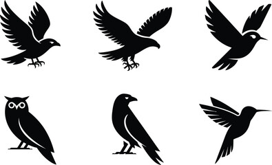 Obraz premium A collection of black bird silhouettes including an eagle, owl, raven, and hummingbird on white background