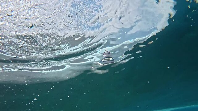 Underwater shot of blue barreling wave with silhouette of surfer in the barrel riding in slow motion. Tahiti famous surf destination for surfers, French Polynesia. 