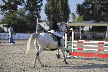 Equestrian Rider and Horse Clearing a Jump in a Showjumping Competition