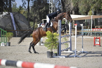 Equestrian Rider and Horse Clearing a Jump in a Showjumping Competition