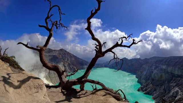 Timelapse sequence of the Ijen volcano crater lake and steaming fumaroles with a dead tree in the foreground, Indonesia.