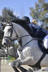 Equestrian Rider and Horse Clearing a Jump in a Showjumping Competition
