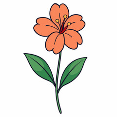 flower vector illustration