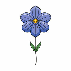 blue flower isolated on white background