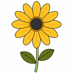 sunflower vector illustration