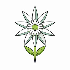 vector illustration of a white flower