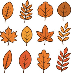 Obraz premium A collection of various autumn leaves in shades of orange and yellow. The leaves are illustrated with simple outlines and diverse shapes.