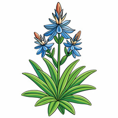 blue flower isolated on white background