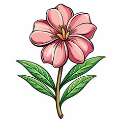 vector illustration of pink flower