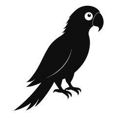 vector illustration of a bird