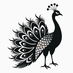 peacock vector illustration