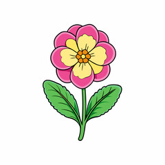 pink flower isolated on white background