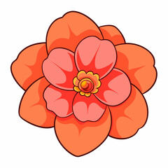 pink carnation flower isolated on white