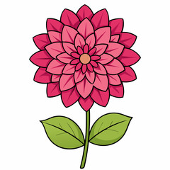 pink flower isolated on white